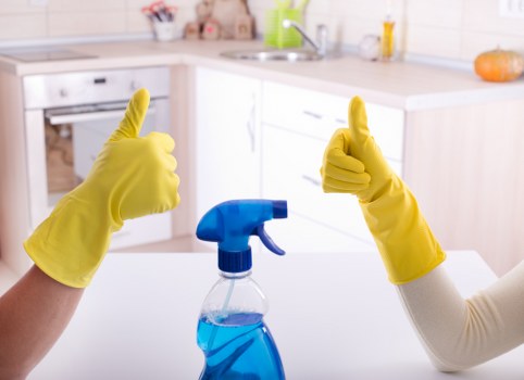 Professional West Kensington cleaners beginning a home cleaning service