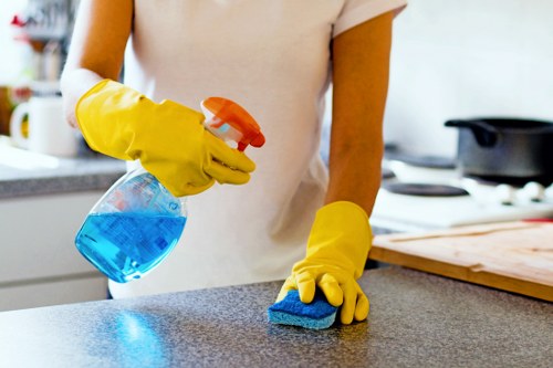 Home regular cleaning routine with organized living room surfaces