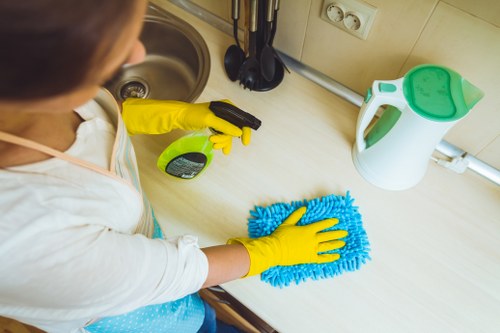 Domestic cleaning tools arranged for home upkeep
