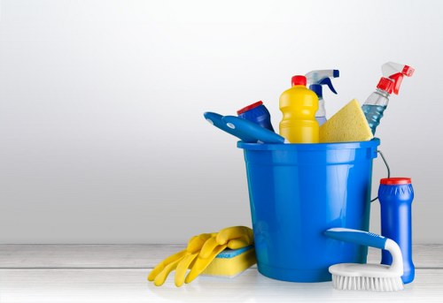 Professional sofa cleaning service in West Kensington living room