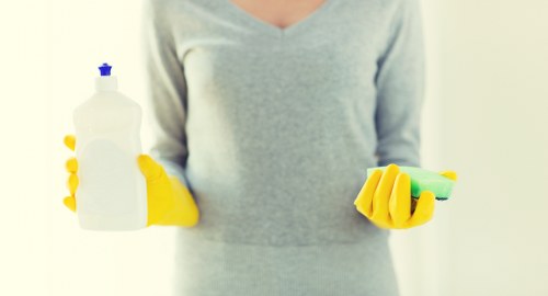 Professional rug cleaning process in a home setting