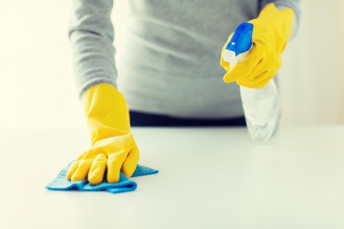 Detailed deep cleaning of hidden corners and surfaces