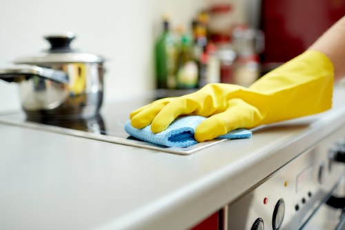 Kitchen deep cleaning for a move out service
