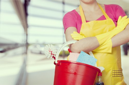 Eco-friendly cleaning products for house cleaning
